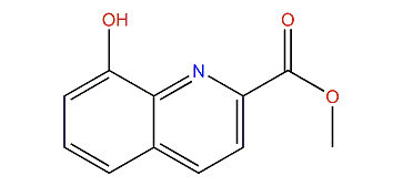 Methyl-8-hydroxyquinoline-2-carboxylate